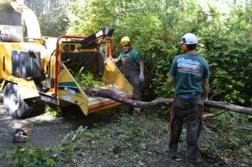 tree services Green Valley